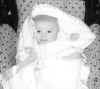 pram.JPG (21393 bytes)